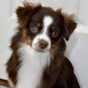 Meet your Posher, Lillian